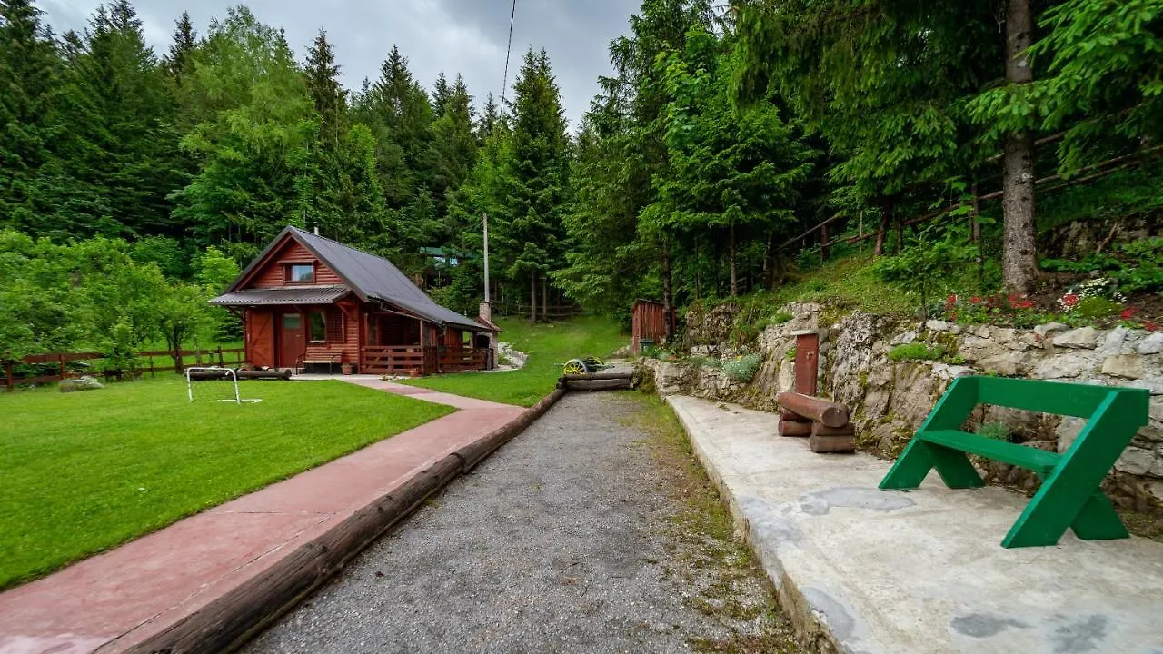 Chalet Woody Stara Susica