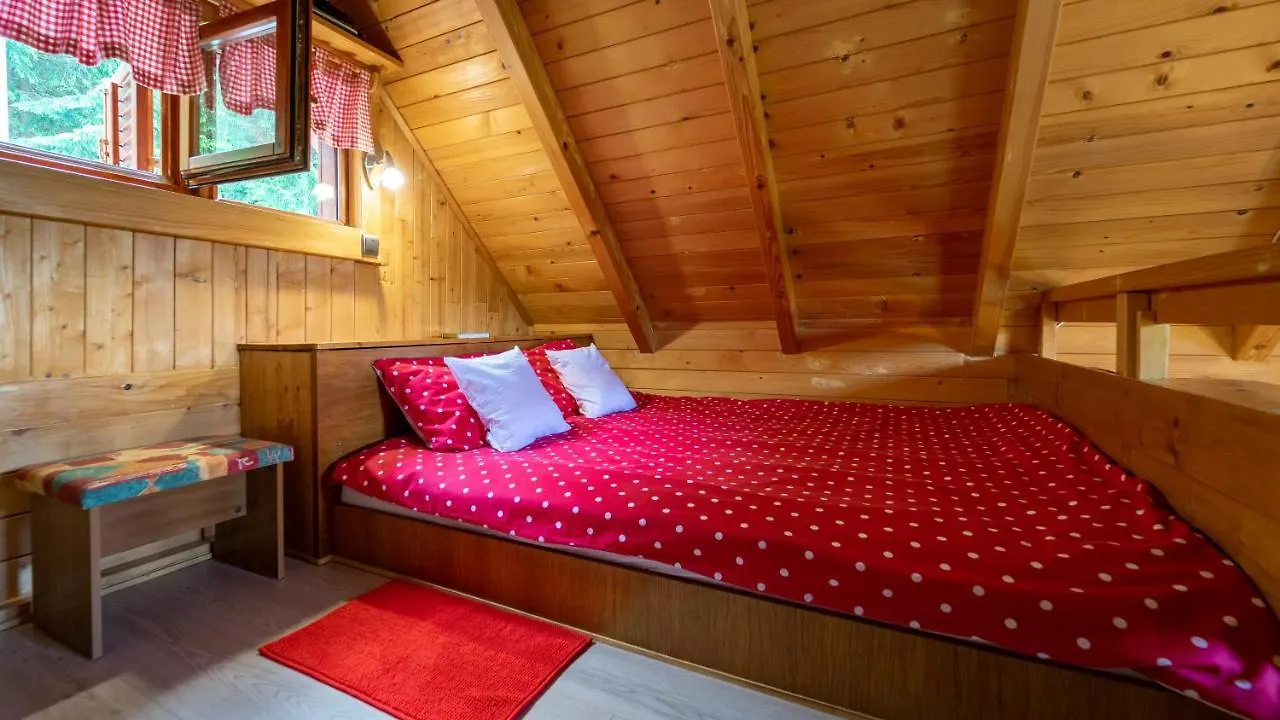 Chalet Woody Stara Susica