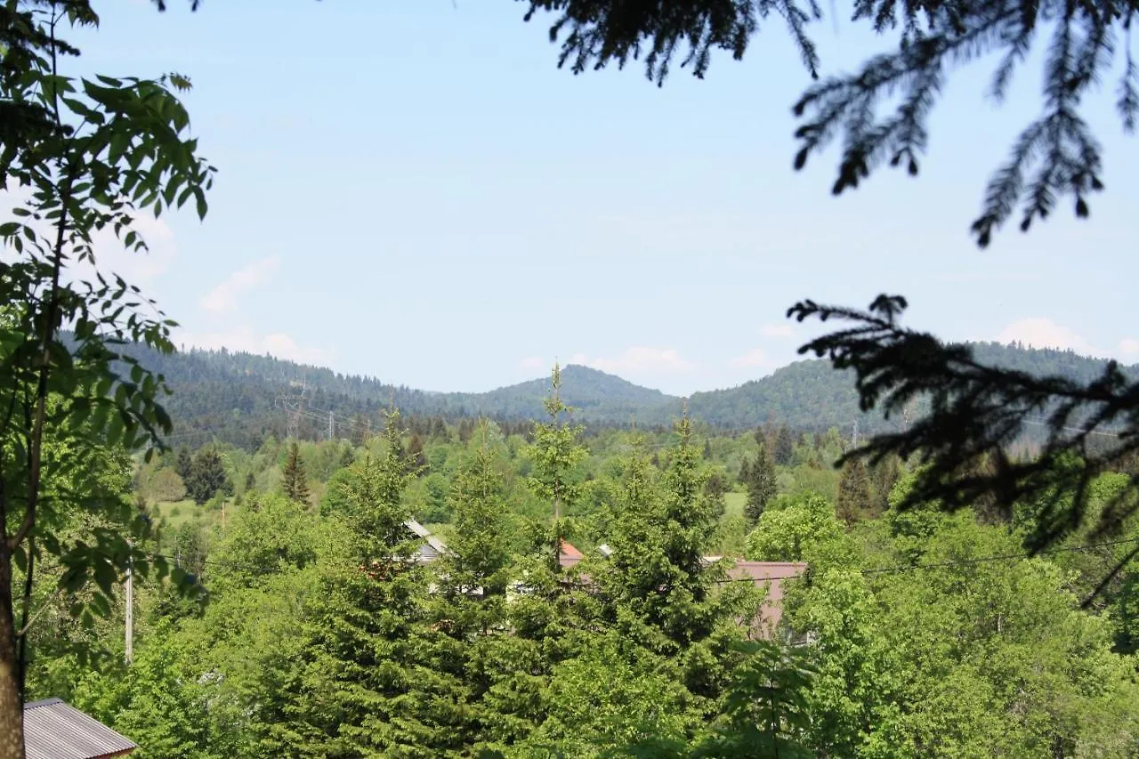 Chalet Woody Stara Susica