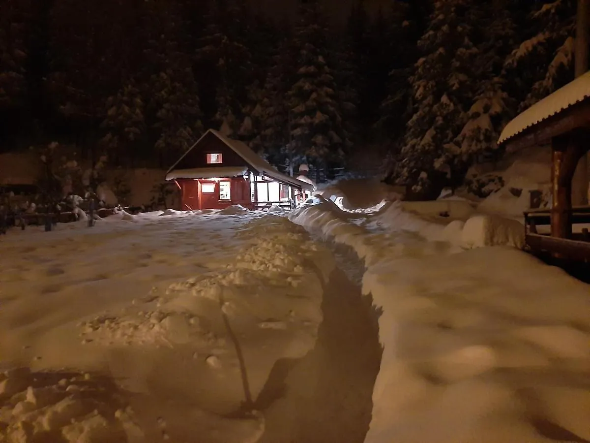 Chalet Woody Stara Susica