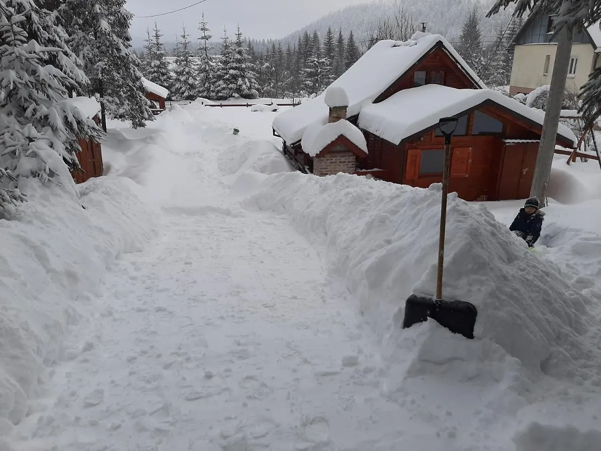 Chalet Woody Stara Susica