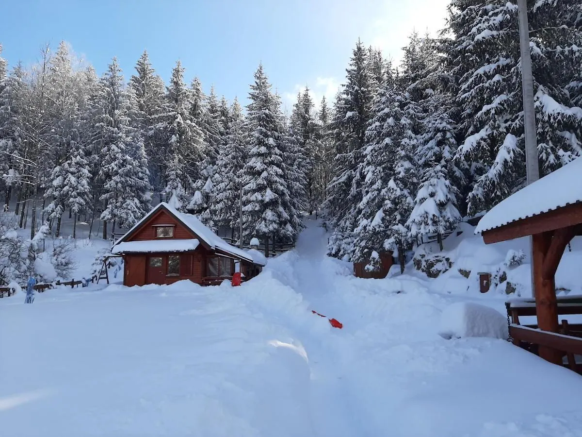 Chalet Woody Stara Susica