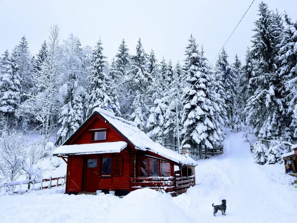 Chalet Woody Stara Susica Croatia