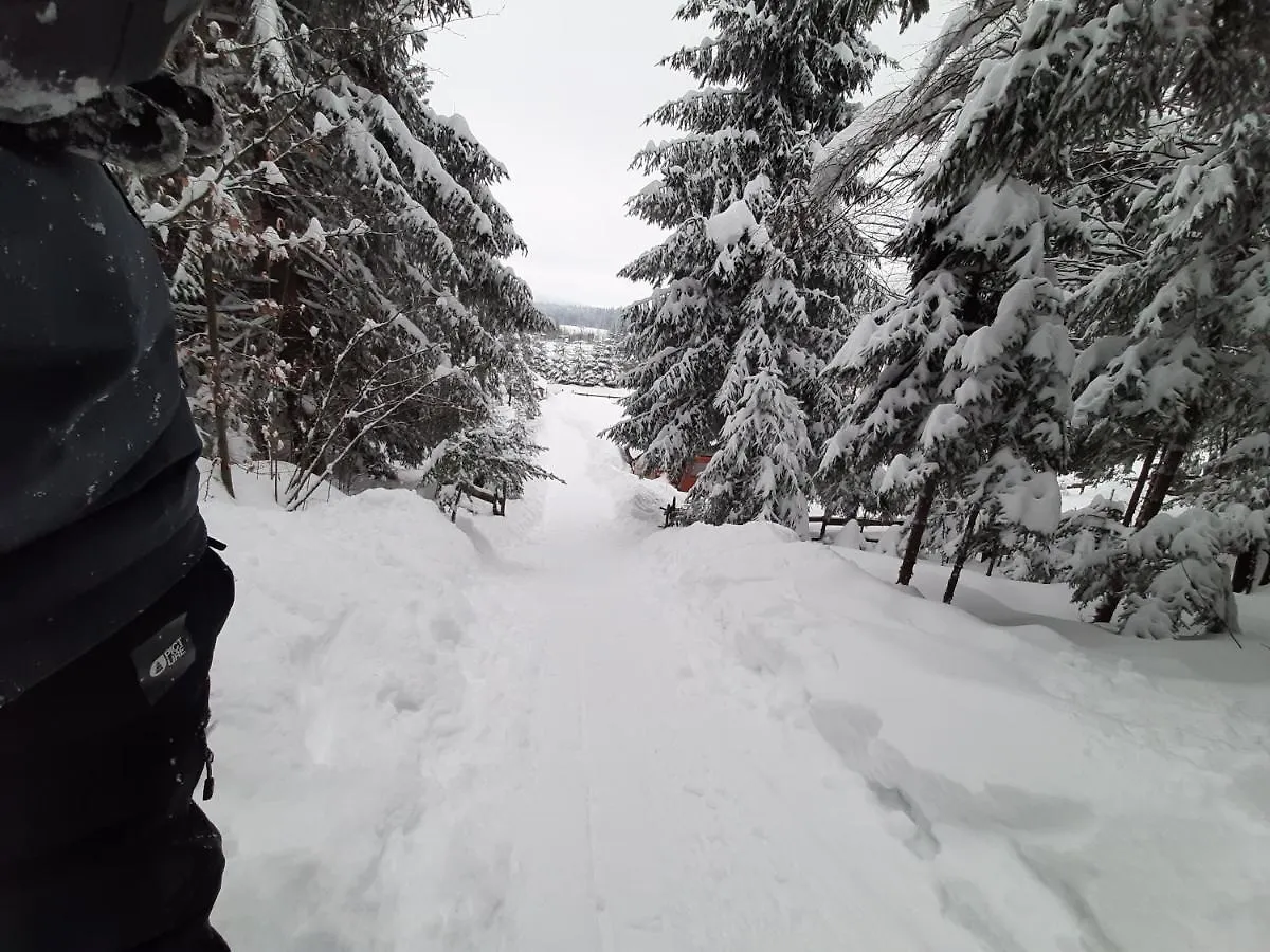 Chalet Woody Stara Susica