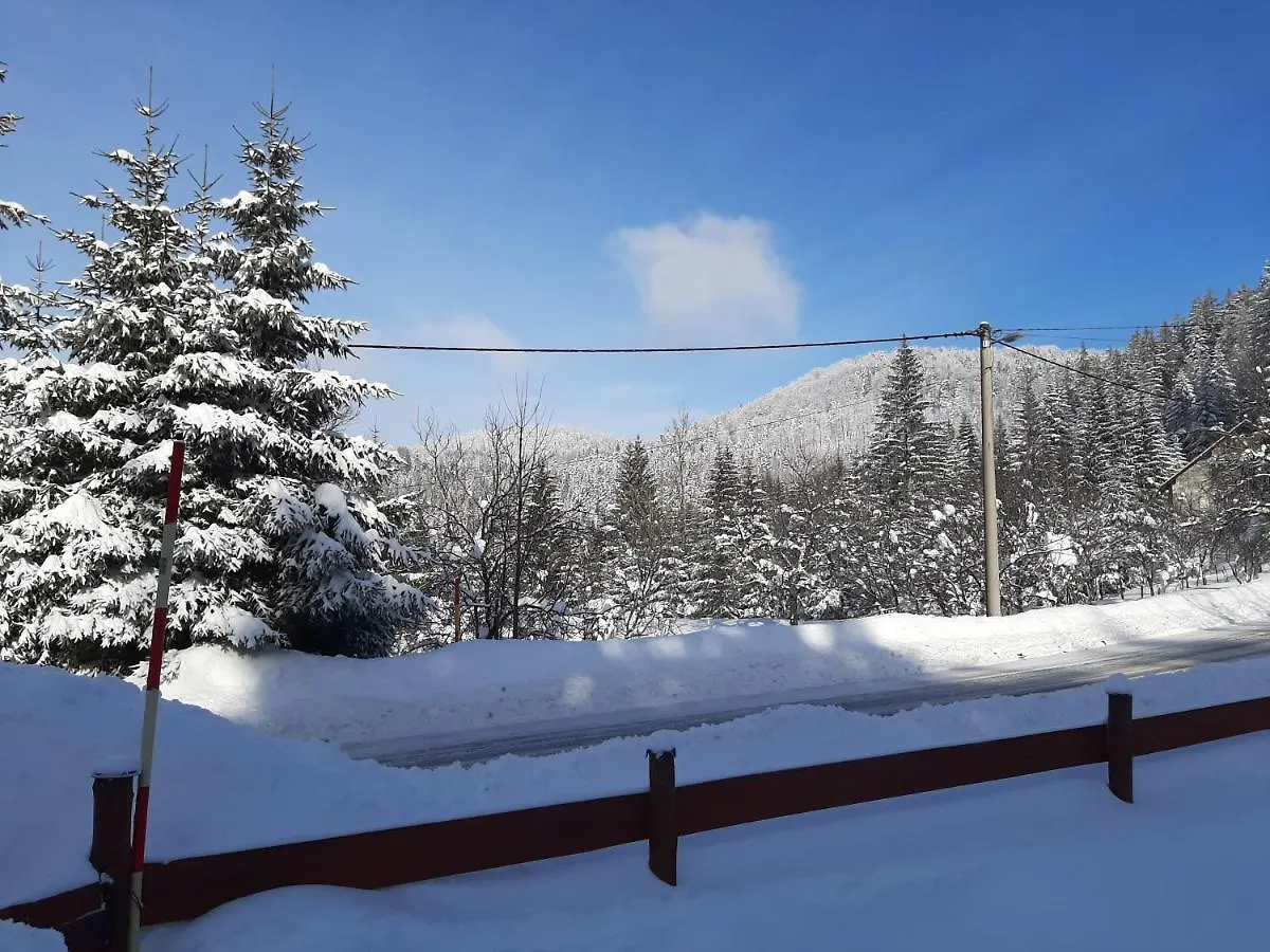 Chalet Woody Stara Susica