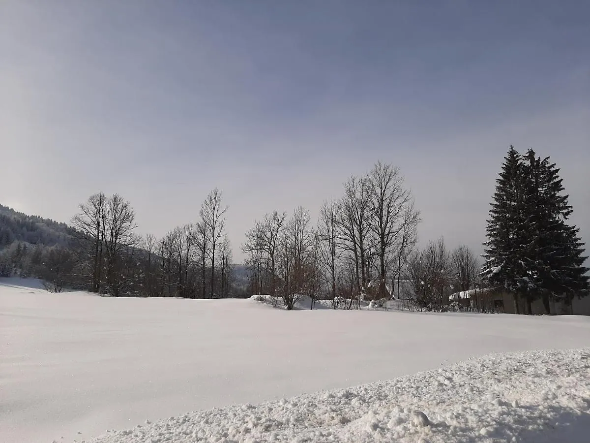 Chalet Woody Stara Susica 0*,