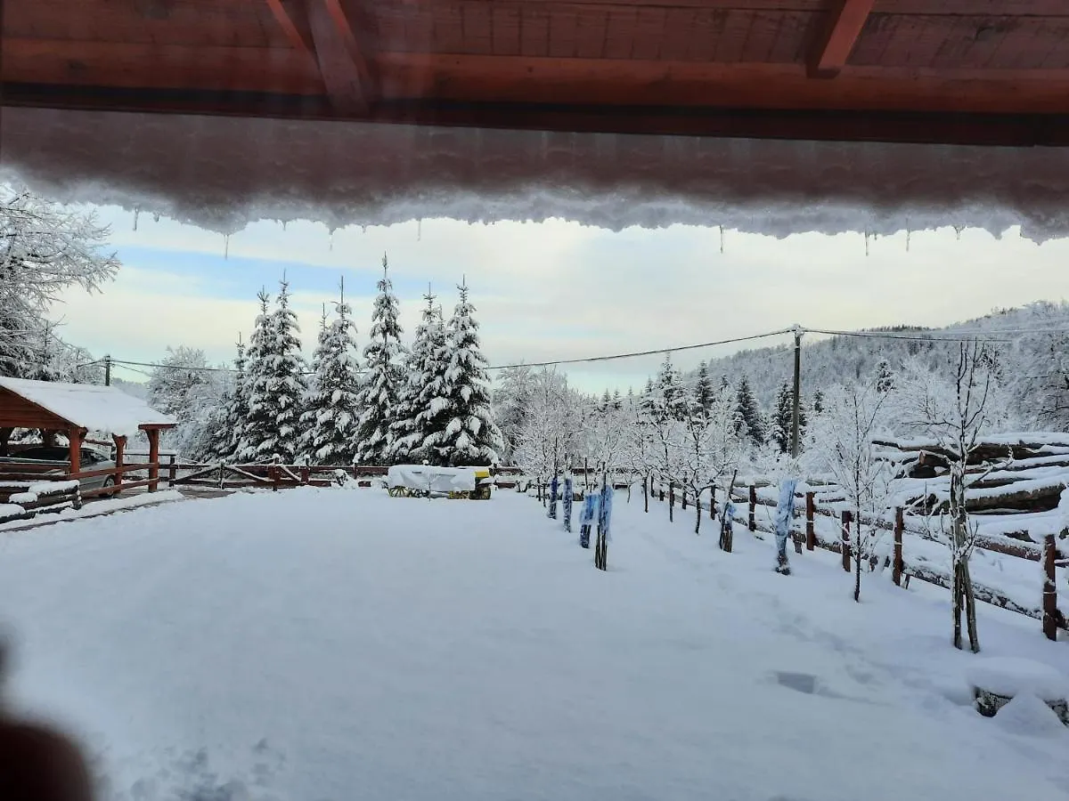 Chalet Woody Stara Susica