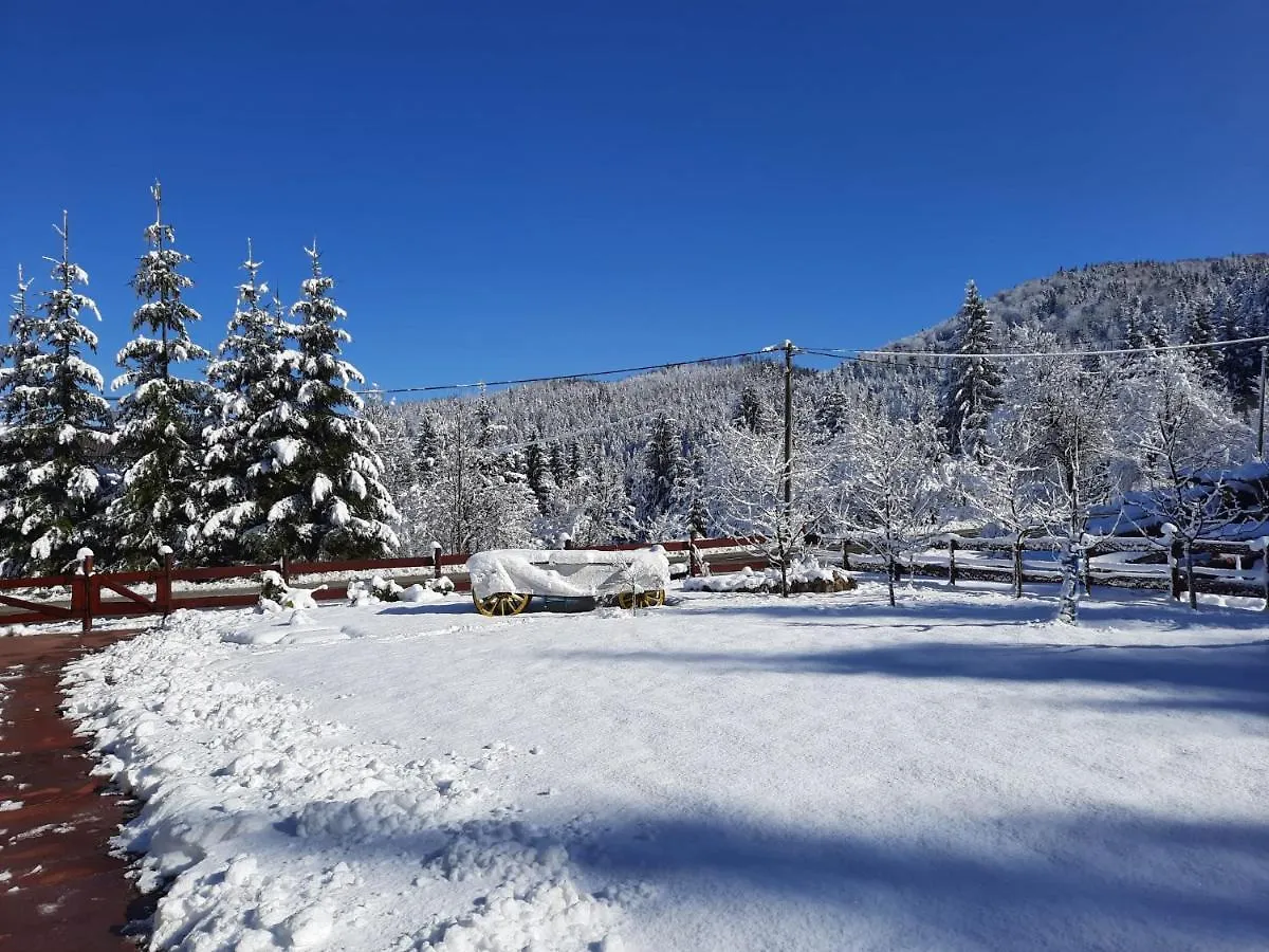 Chalet Woody Stara Susica
