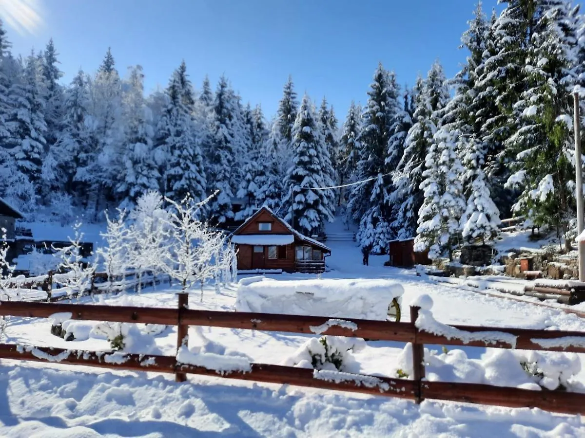 Chalet Woody Stara Susica