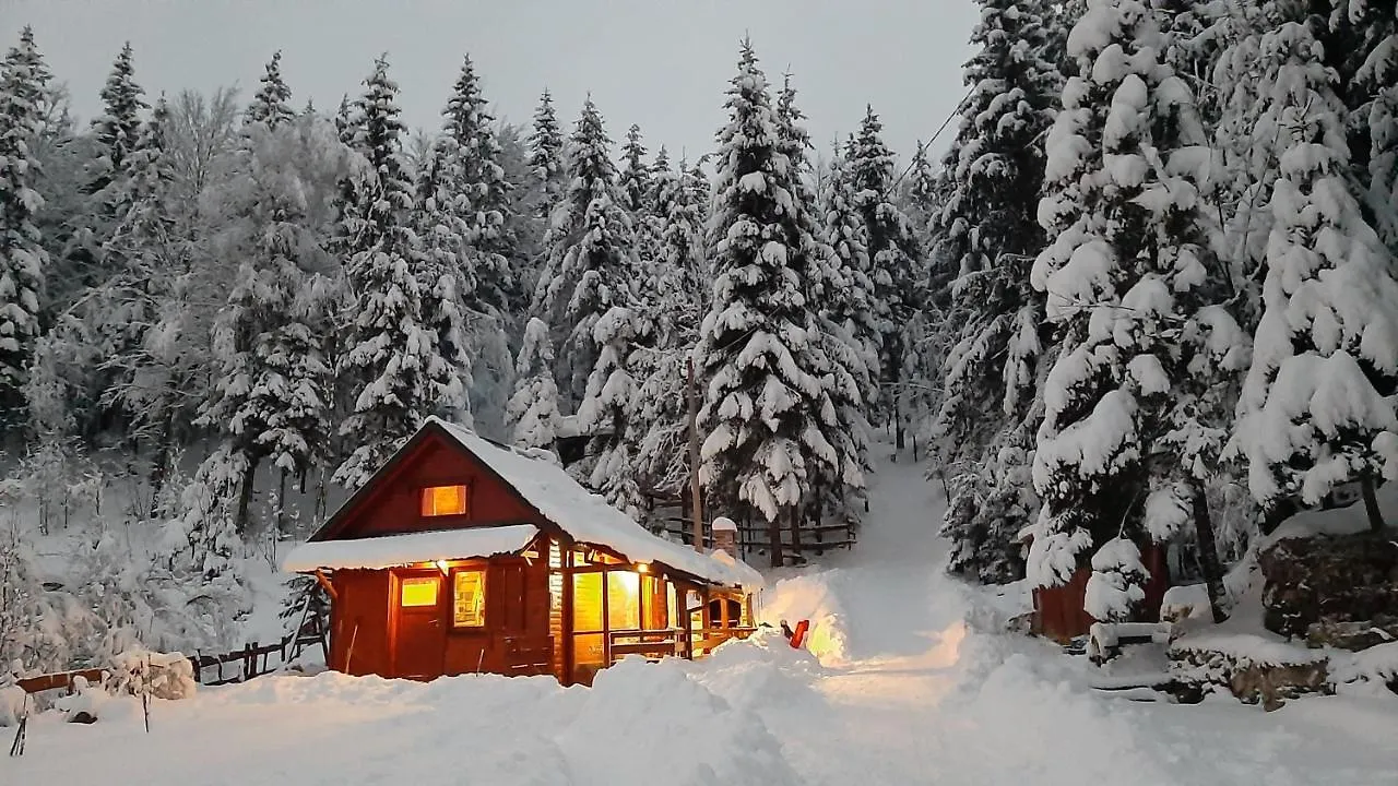 Chalet Woody Stara Susica Croatia