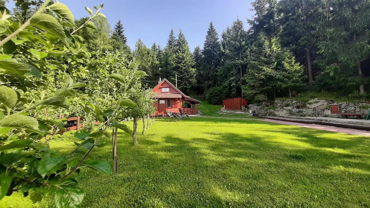 Chalet Woody Stara Susica