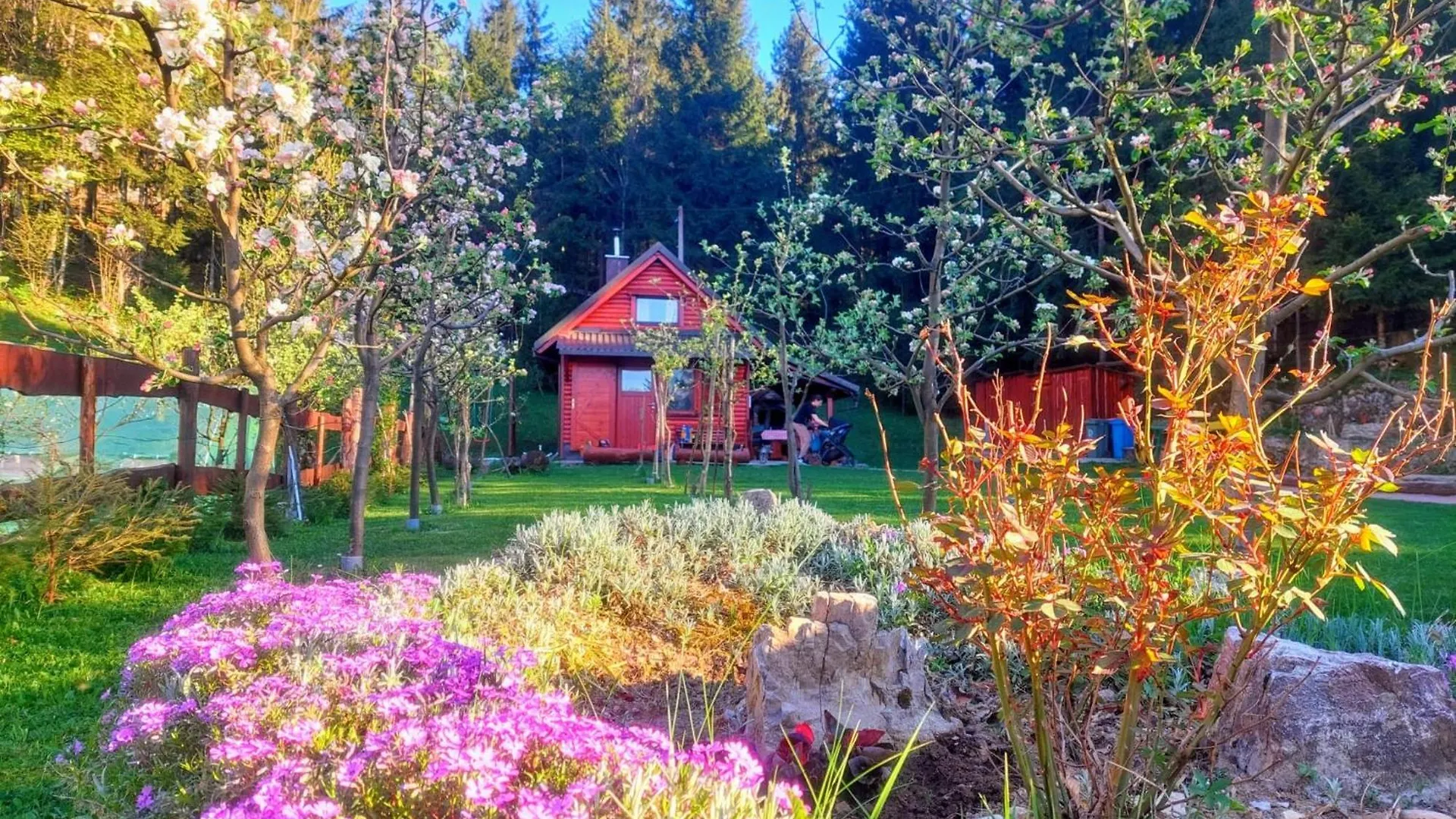 Chalet Woody location